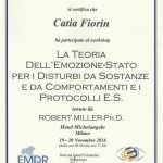 EMDR La teoria dell'emozione-stato per i disturbi da sostanze e da comportamenti e i protocolli E.S.